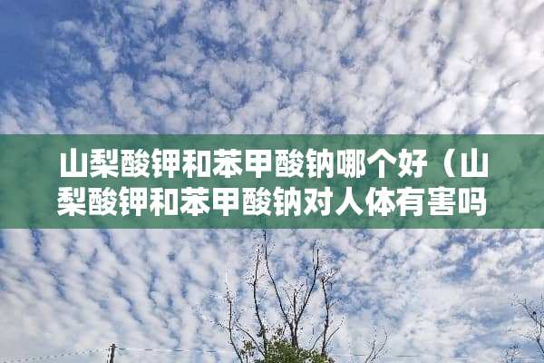 山梨酸钾和苯甲酸钠哪个好（山梨酸钾和苯甲酸钠对人体有害吗）