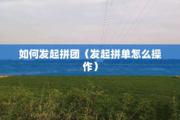 如何发起拼团（发起拼单怎么操作）