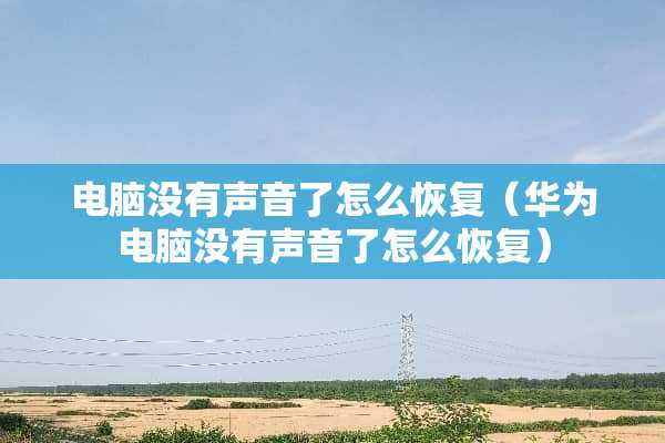 电脑没有声音了怎么恢复（华为电脑没有声音了怎么恢复）