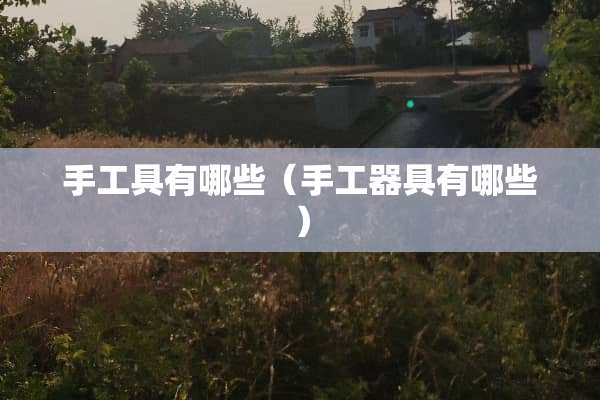 手工具有哪些（手工器具有哪些）