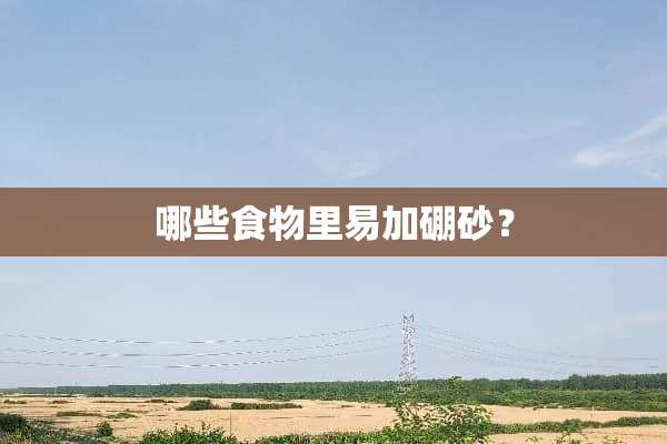 哪些食物里易加硼砂？
