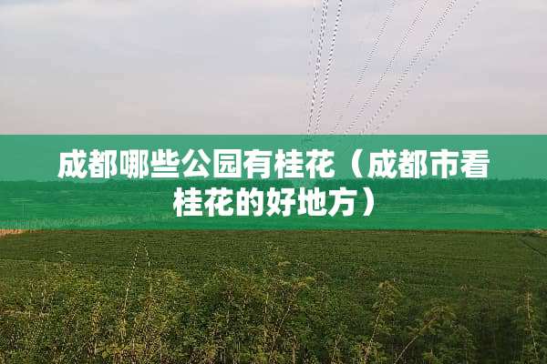 成都哪些公园有桂花（成都市看桂花的好地方）
