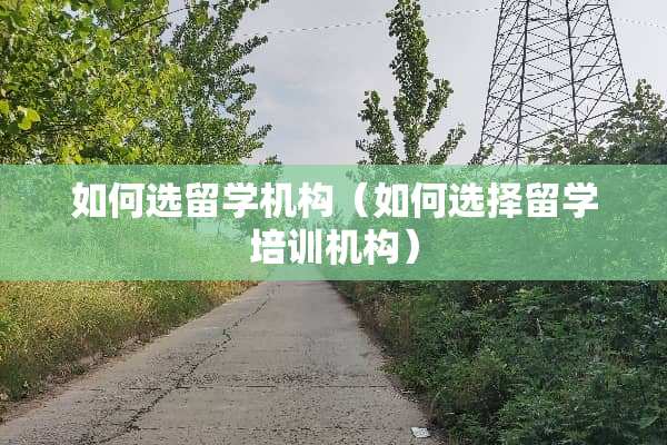 如何选留学机构（如何选择留学培训机构）