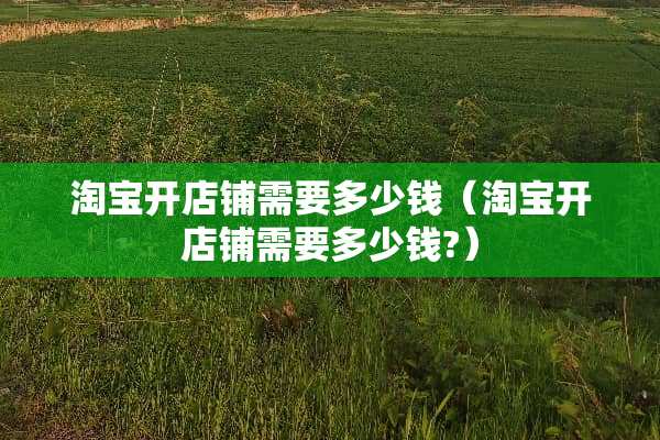 淘宝开店铺需要多少钱（淘宝开店铺需要多少钱?）