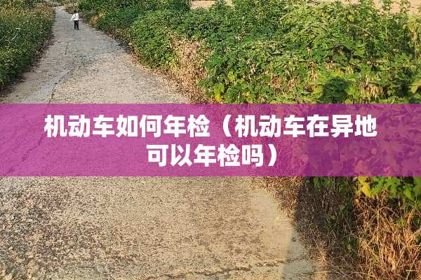机动车如何年检（机动车在异地可以年检吗）