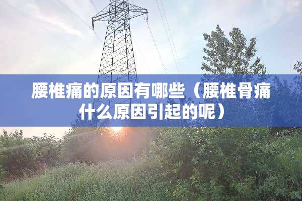 腰椎痛的原因有哪些（腰椎骨痛什么原因引起的呢）