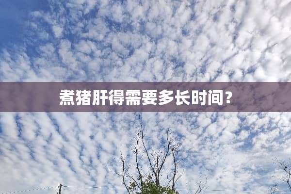 煮猪肝得需要多长时间？