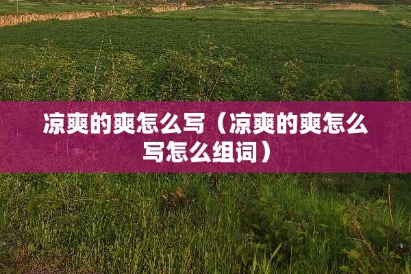 凉爽的爽怎么写（凉爽的爽怎么写怎么组词）