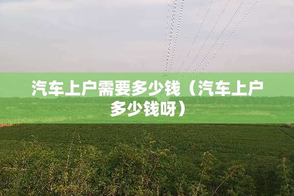 汽车上户需要多少钱（汽车上户多少钱呀）