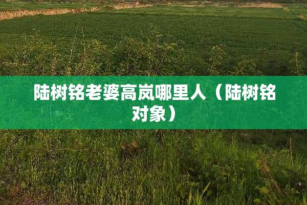 陆树铭老婆高岚哪里人（陆树铭对象）