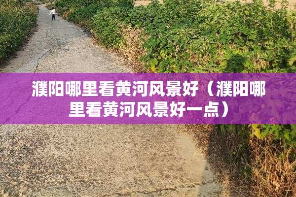 濮阳哪里看黄河风景好（濮阳哪里看黄河风景好一点）
