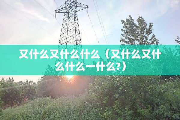 又什么又什么什么（又什么又什么什么一什么?）