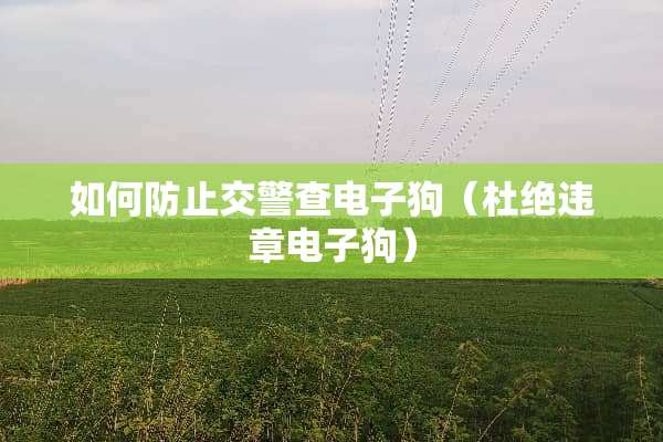 如何防止交警查***（杜绝违章***）