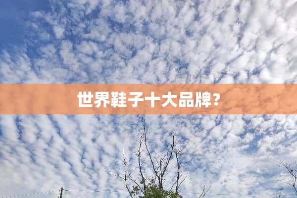 世界鞋子十大品牌？