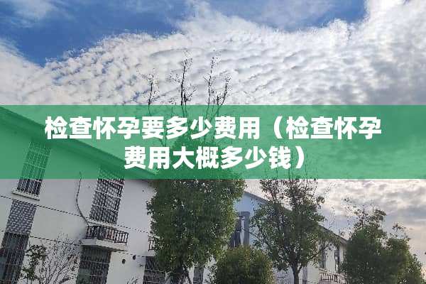 检查怀孕要多少费用（检查怀孕费用大概多少钱）
