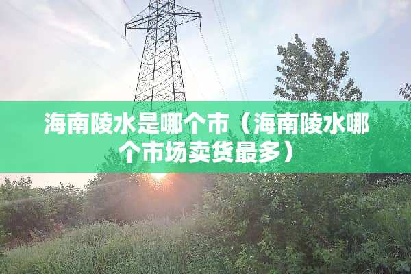 海南陵水是哪个市（海南陵水哪个市场卖货最多）