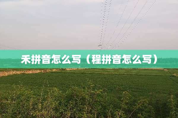 禾拼音怎么写（程拼音怎么写）