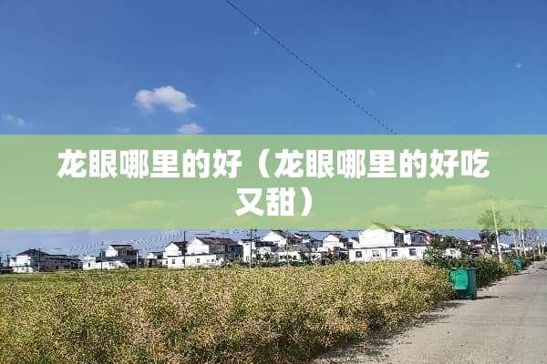 龙眼哪里的好（龙眼哪里的好吃又甜）