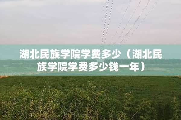 湖北民族学院学费多少（湖北民族学院学费多少钱一年）