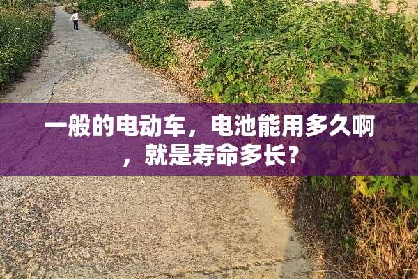 一般的电动车，电池能用多久啊，就是寿命多长？