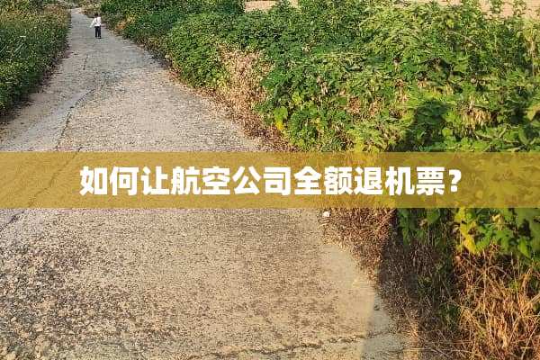 如何让航空公司全额退机票？