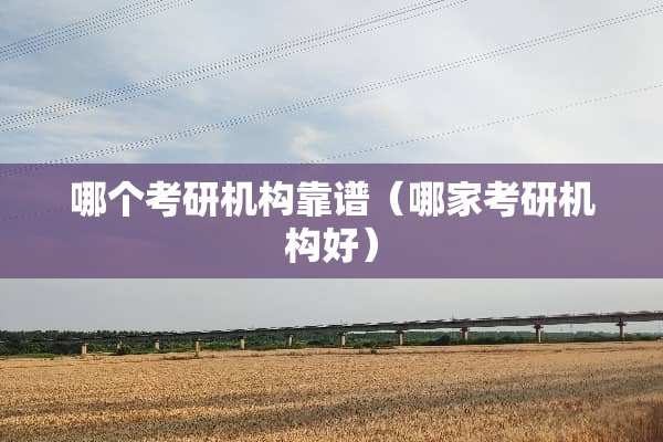 哪个考研机构靠谱（哪家考研机构好）