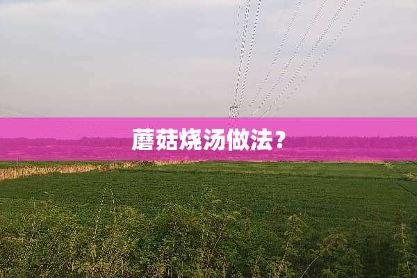 蘑菇烧汤做法？