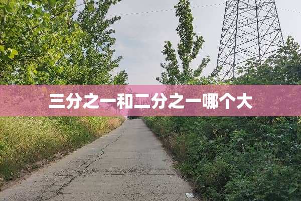 三分之一和二分之一哪个大