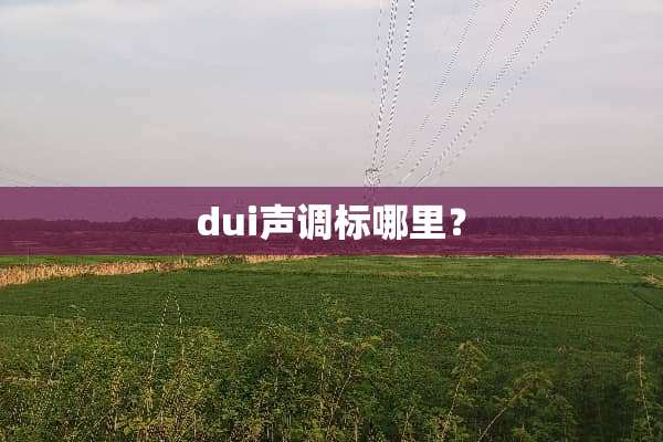 dui声调标哪里？