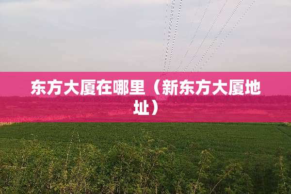 东方大厦在哪里（新东方大厦地址）