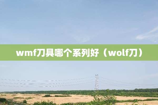 wmf**哪个系列好（wolf刀）