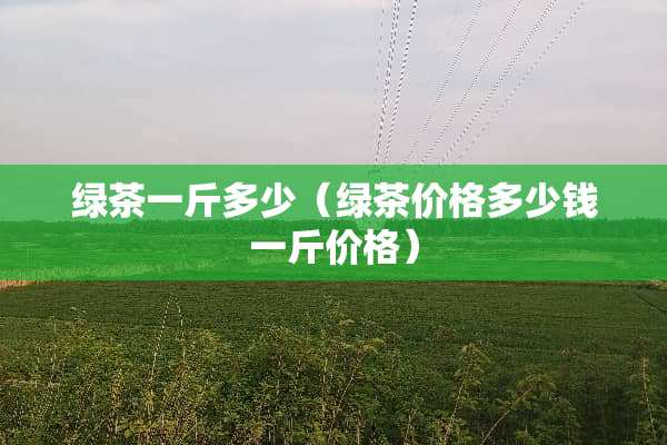 绿茶一斤多少（绿茶价格多少钱一斤价格）