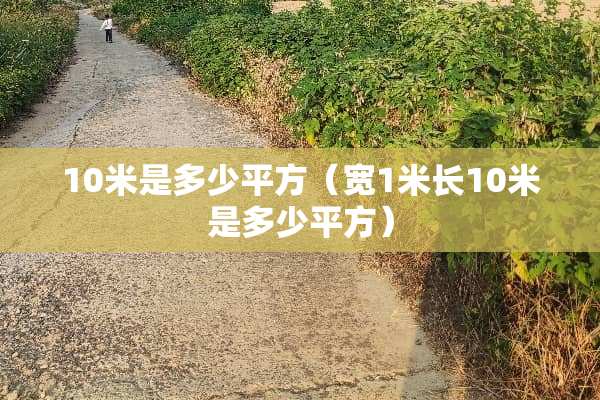 10米是多少平方（宽1米长10米是多少平方）