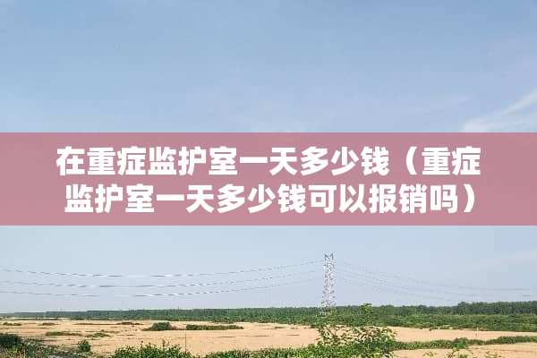 在重症监护室一天多少钱（重症监护室一天多少钱可以报销吗）