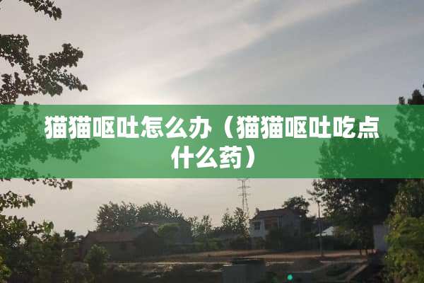 猫猫呕吐怎么办（猫猫呕吐吃点什么药）