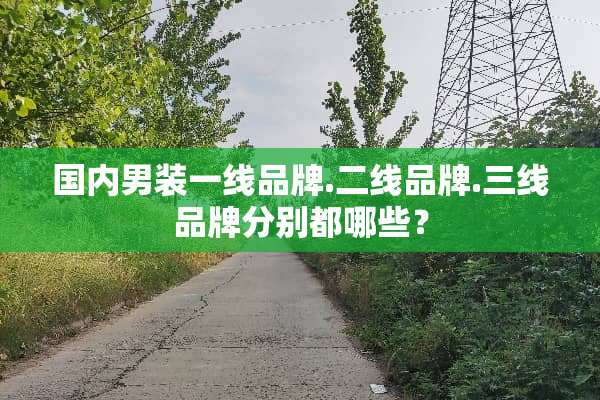 国内男装一线品牌.二线品牌.三线品牌分别都哪些？