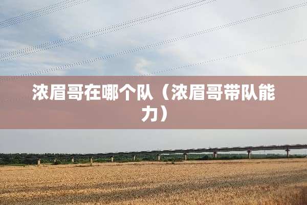 浓眉哥在哪个队（浓眉哥带队能力）