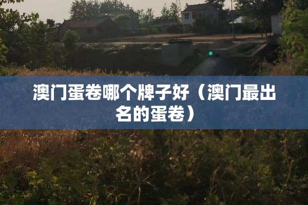 澳门蛋卷哪个牌子好（澳门最出名的蛋卷）