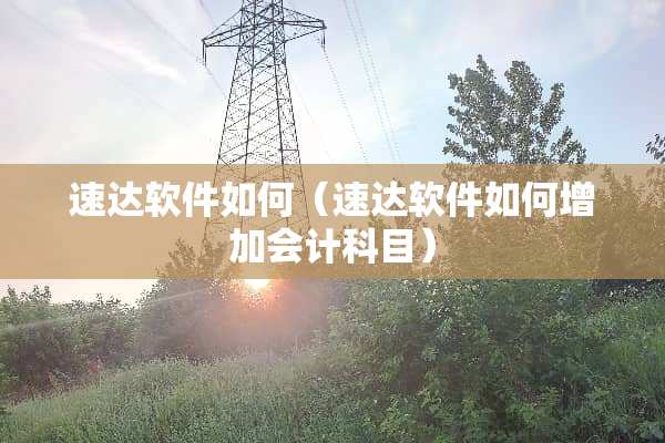 速达软件如何（速达软件如何增加会计科目）