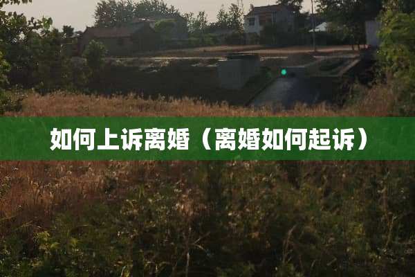 如何上诉**（**如何起诉）