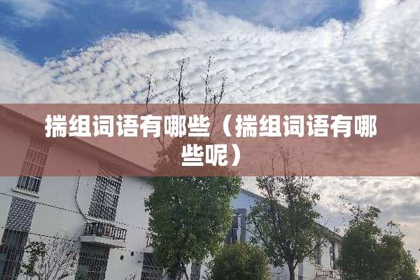 揣组词语有哪些（揣组词语有哪些呢）