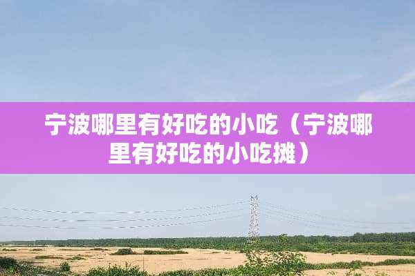 宁波哪里有好吃的小吃（宁波哪里有好吃的小吃摊）