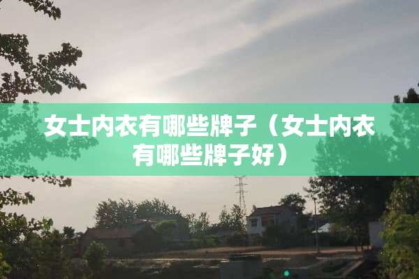 女士**有哪些牌子（女士**有哪些牌子好）