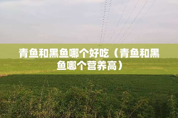 青鱼和黑鱼哪个好吃（青鱼和黑鱼哪个营养高）