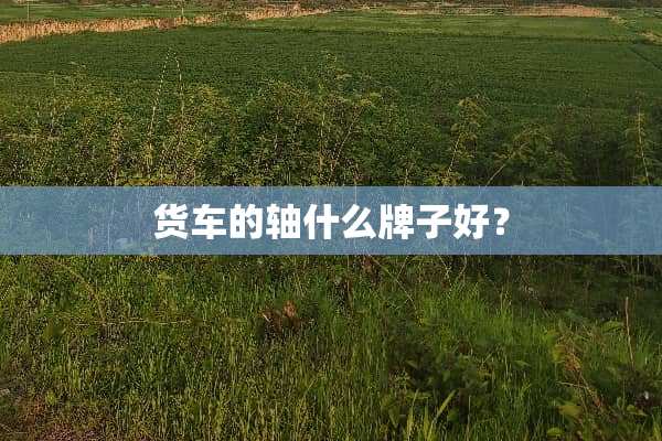 货车的轴什么牌子好？