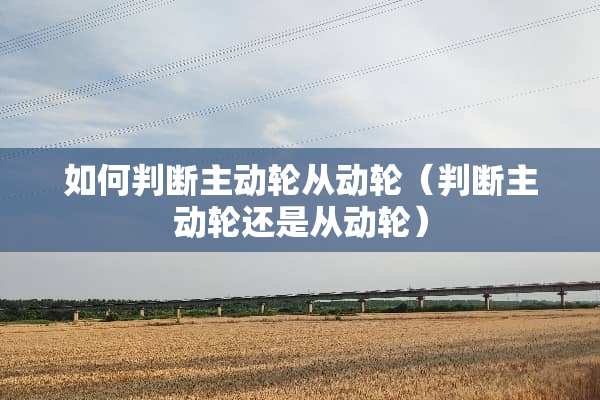 如何判断主动轮从动轮（判断主动轮还是从动轮）