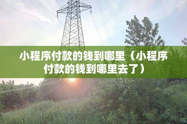 小程序付款的钱到哪里（小程序付款的钱到哪里去了）