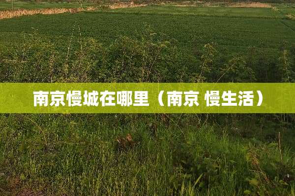 南京慢城在哪里（南京 慢生活）
