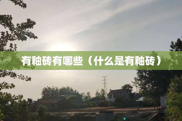 有釉砖有哪些（什么是有釉砖）