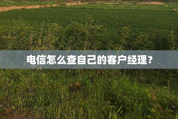 电信怎么查自己的客户经理？